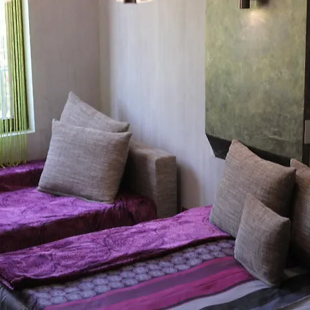 Studio Zebra Appartement